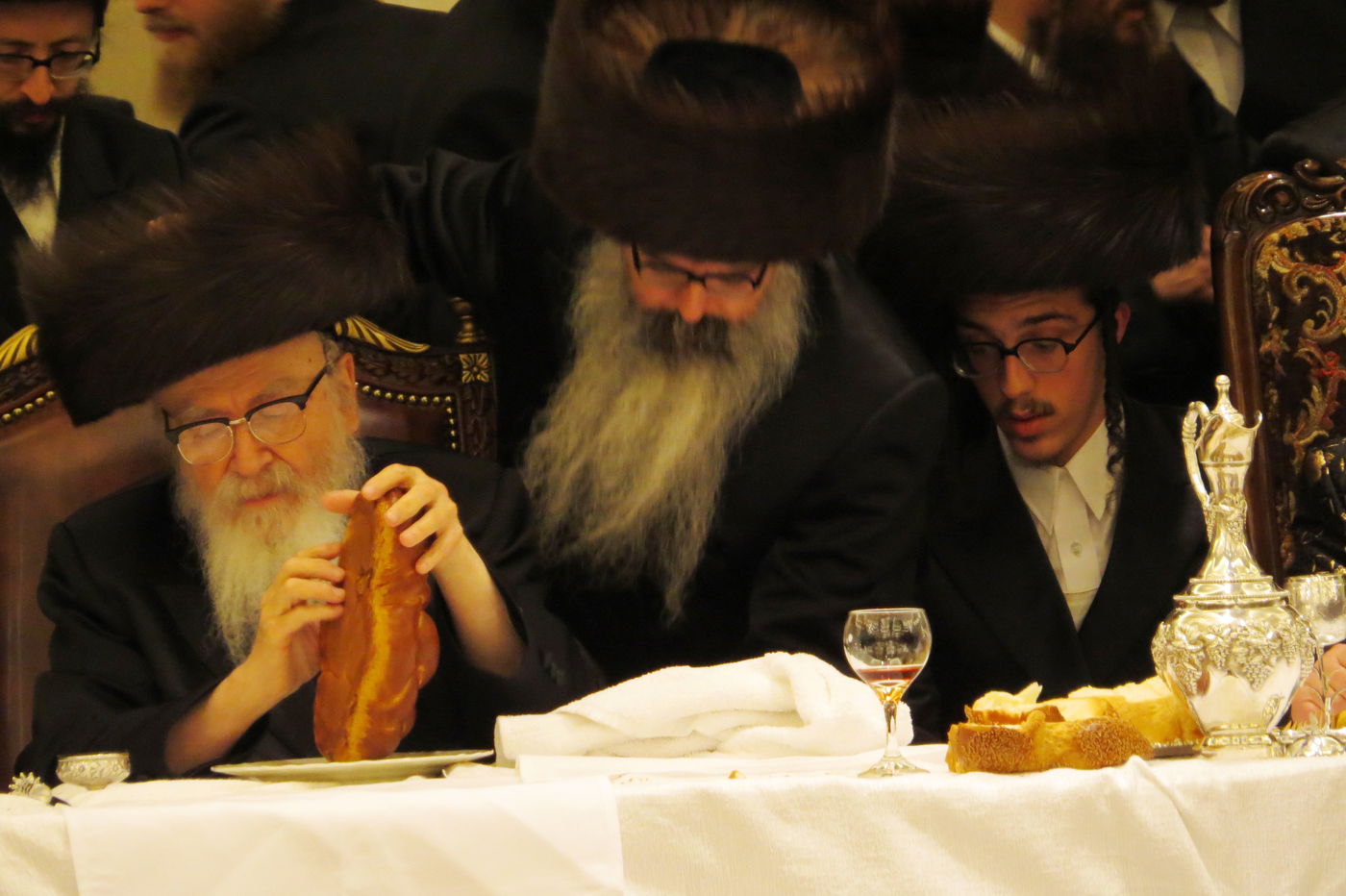 שבע ברכות לנכדי האדמו"רים מויז'ניץ ומסקווירא • גלריה