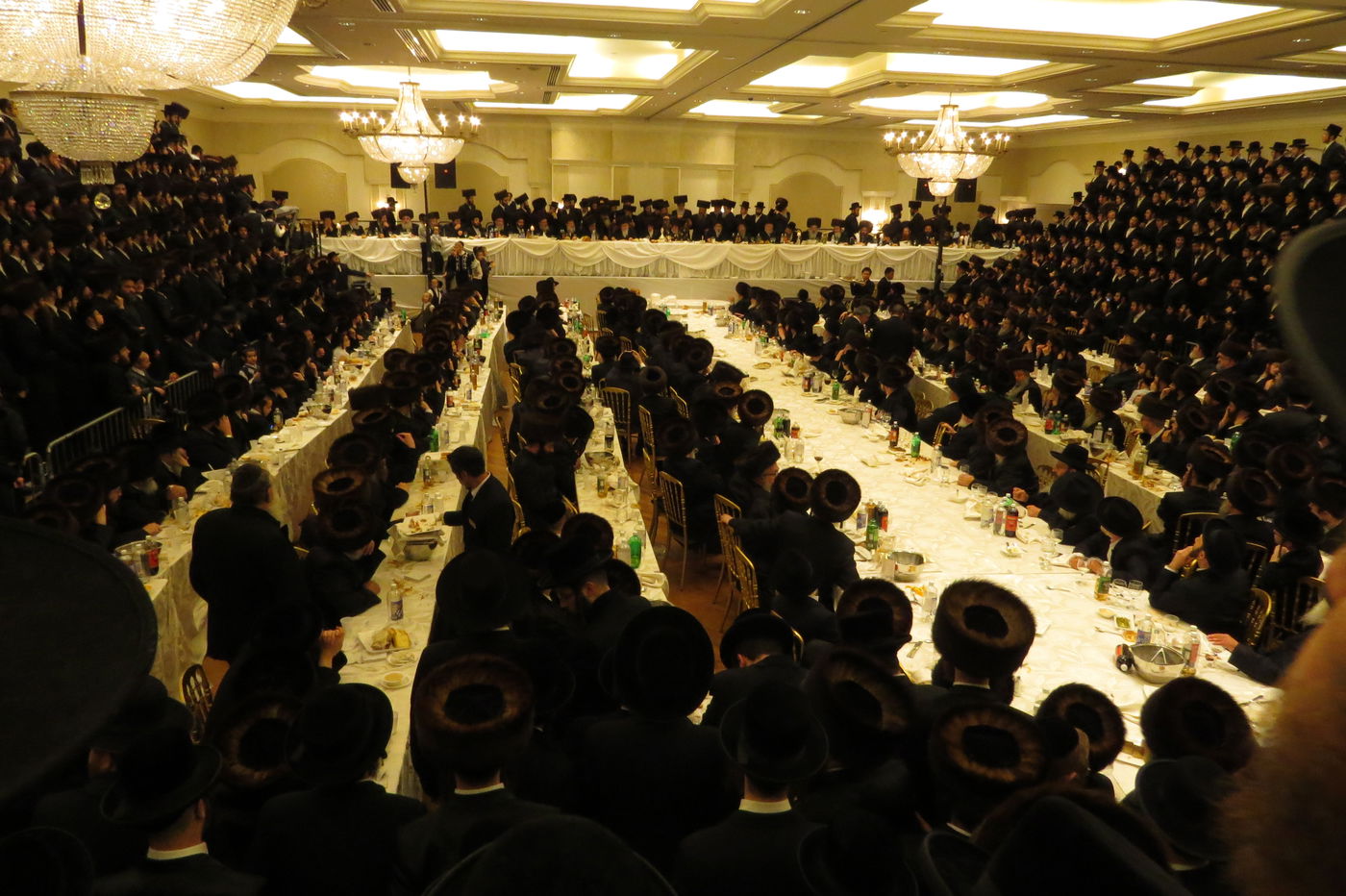 שבע ברכות לנכדי האדמו"רים מויז'ניץ ומסקווירא • גלריה