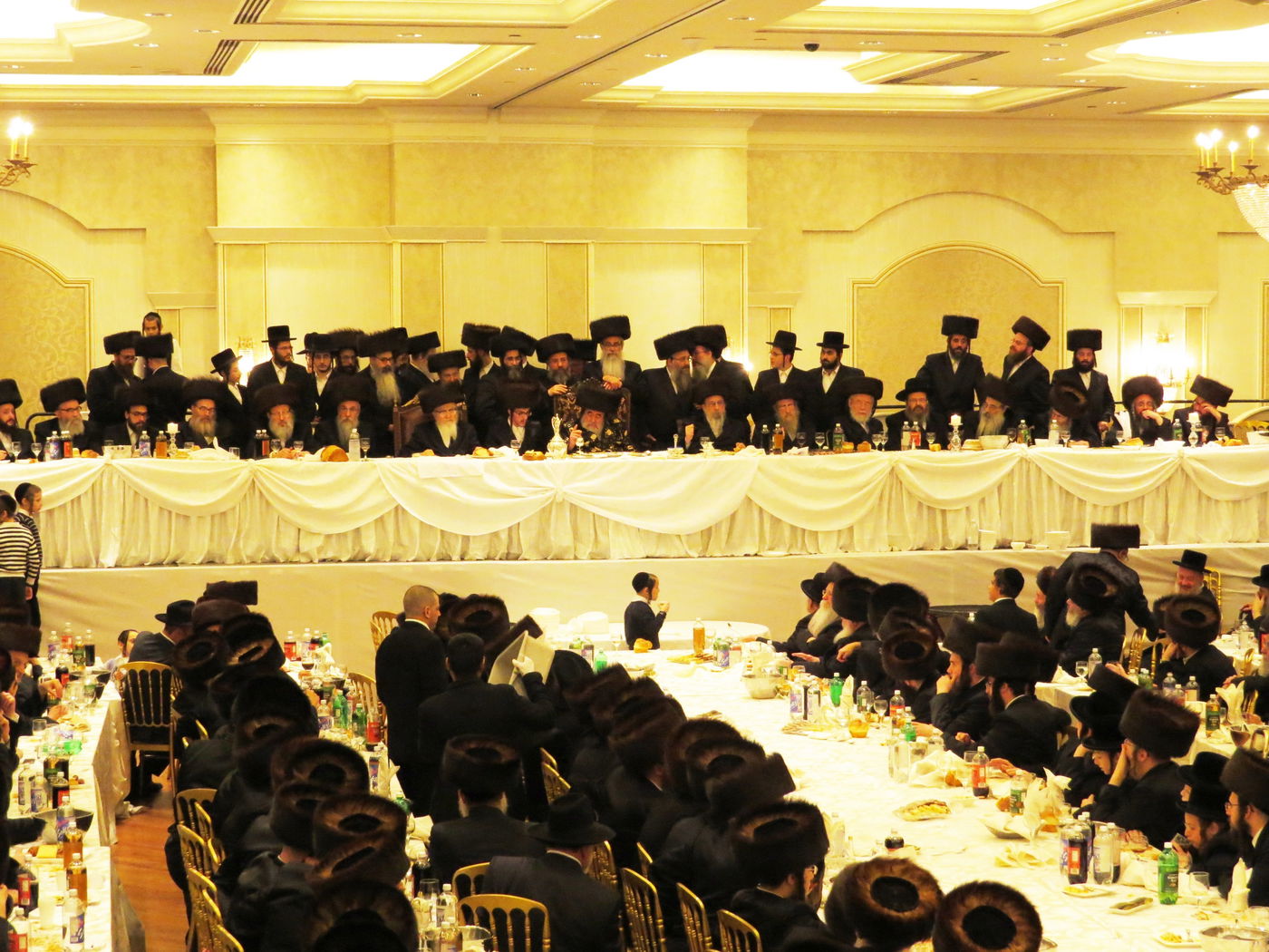 שבע ברכות לנכדי האדמו"רים מויז'ניץ ומסקווירא • גלריה