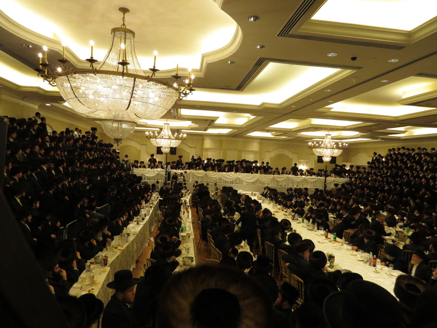 שבע ברכות לנכדי האדמו"רים מויז'ניץ ומסקווירא • גלריה