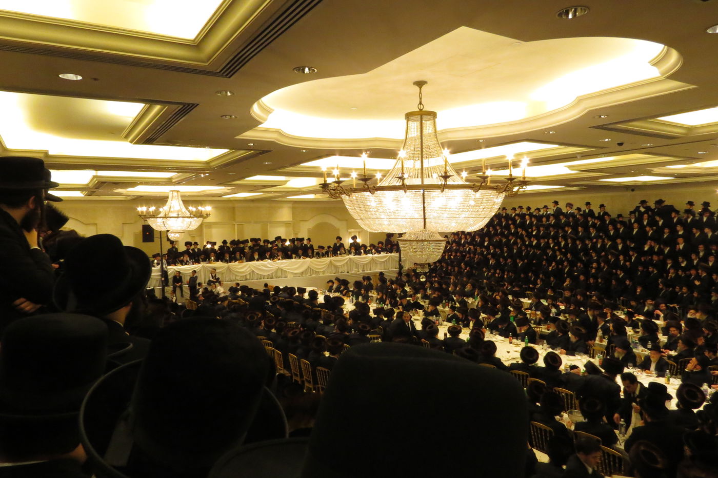 שבע ברכות לנכדי האדמו"רים מויז'ניץ ומסקווירא • גלריה