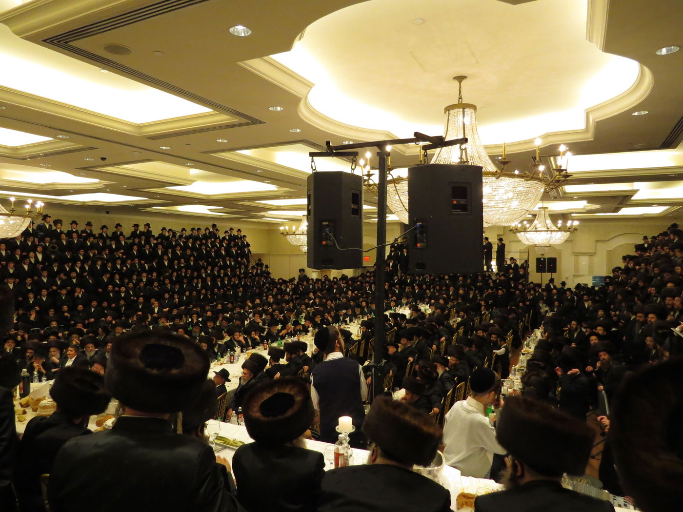 שבע ברכות לנכדי האדמו"רים מויז'ניץ ומסקווירא • גלריה