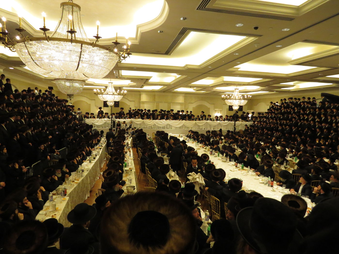 שבע ברכות לנכדי האדמו"רים מויז'ניץ ומסקווירא • גלריה