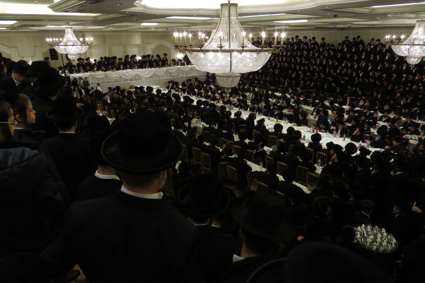 שבע ברכות לנכדי האדמו"רים מויז'ניץ ומסקווירא • גלריה