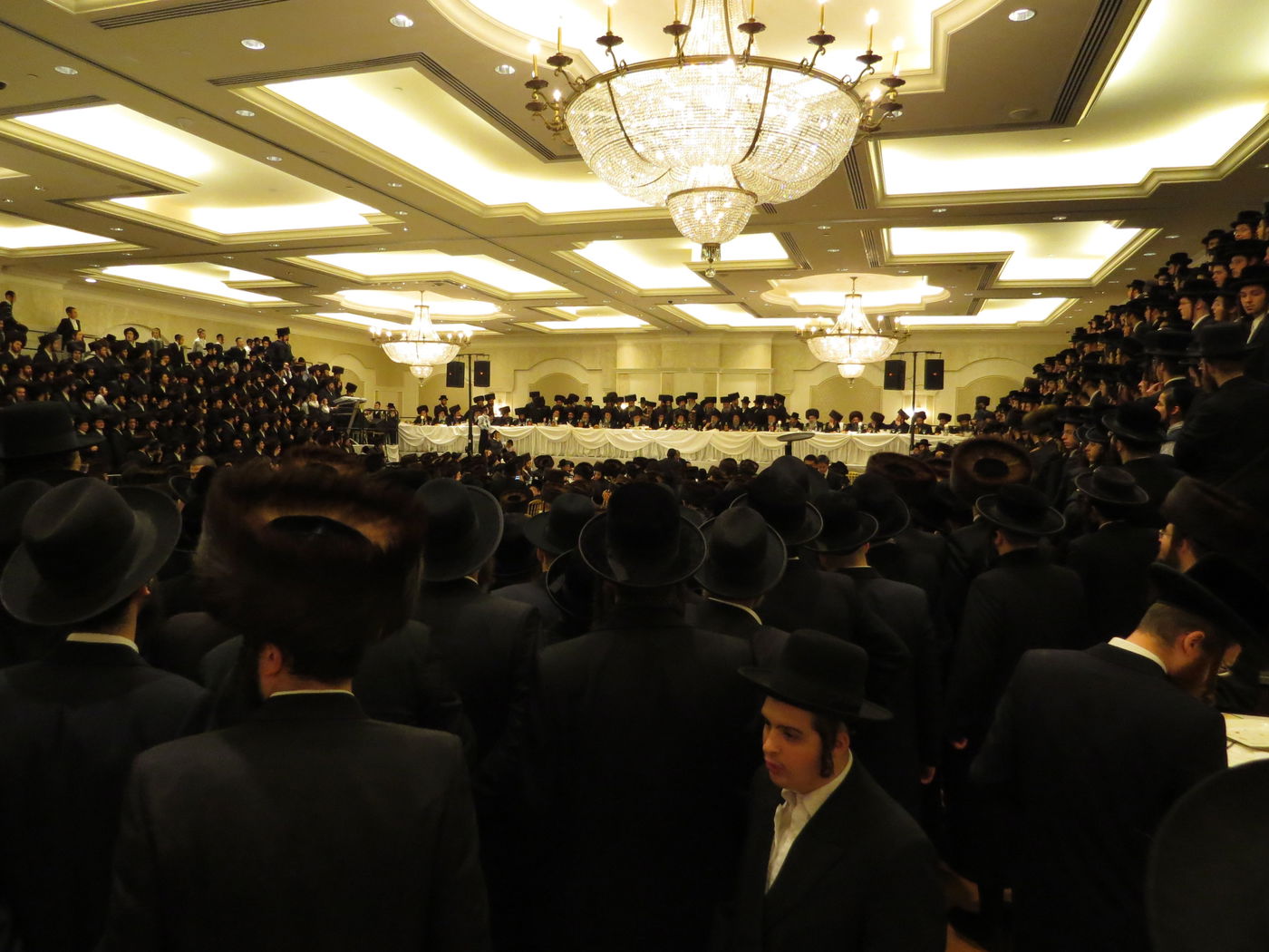 שבע ברכות לנכדי האדמו"רים מויז'ניץ ומסקווירא • גלריה