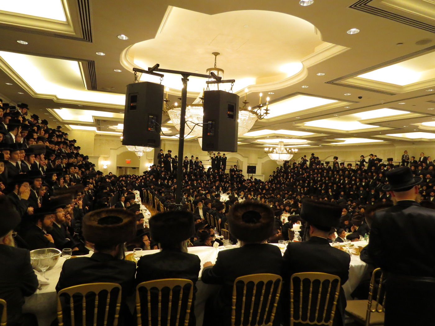 שבע ברכות לנכדי האדמו"רים מויז'ניץ ומסקווירא • גלריה