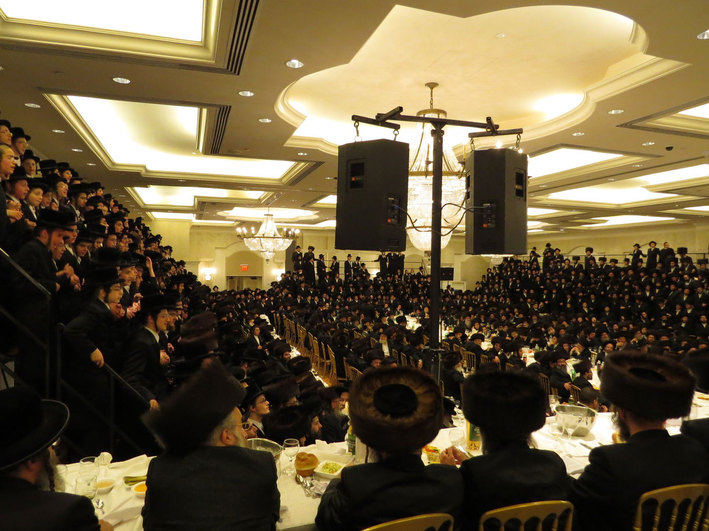 שבע ברכות לנכדי האדמו"רים מויז'ניץ ומסקווירא • גלריה