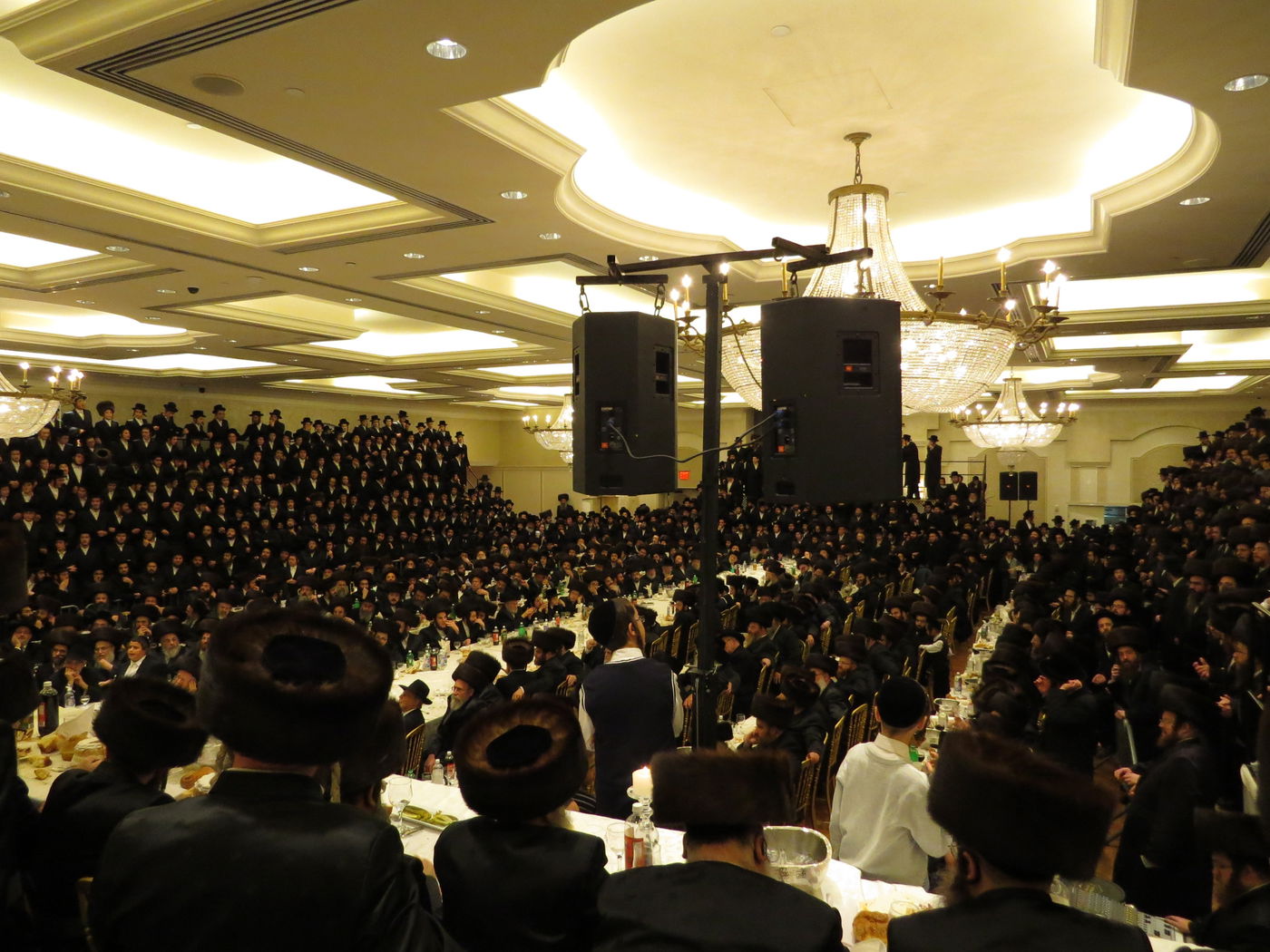 שבע ברכות לנכדי האדמו"רים מויז'ניץ ומסקווירא • גלריה