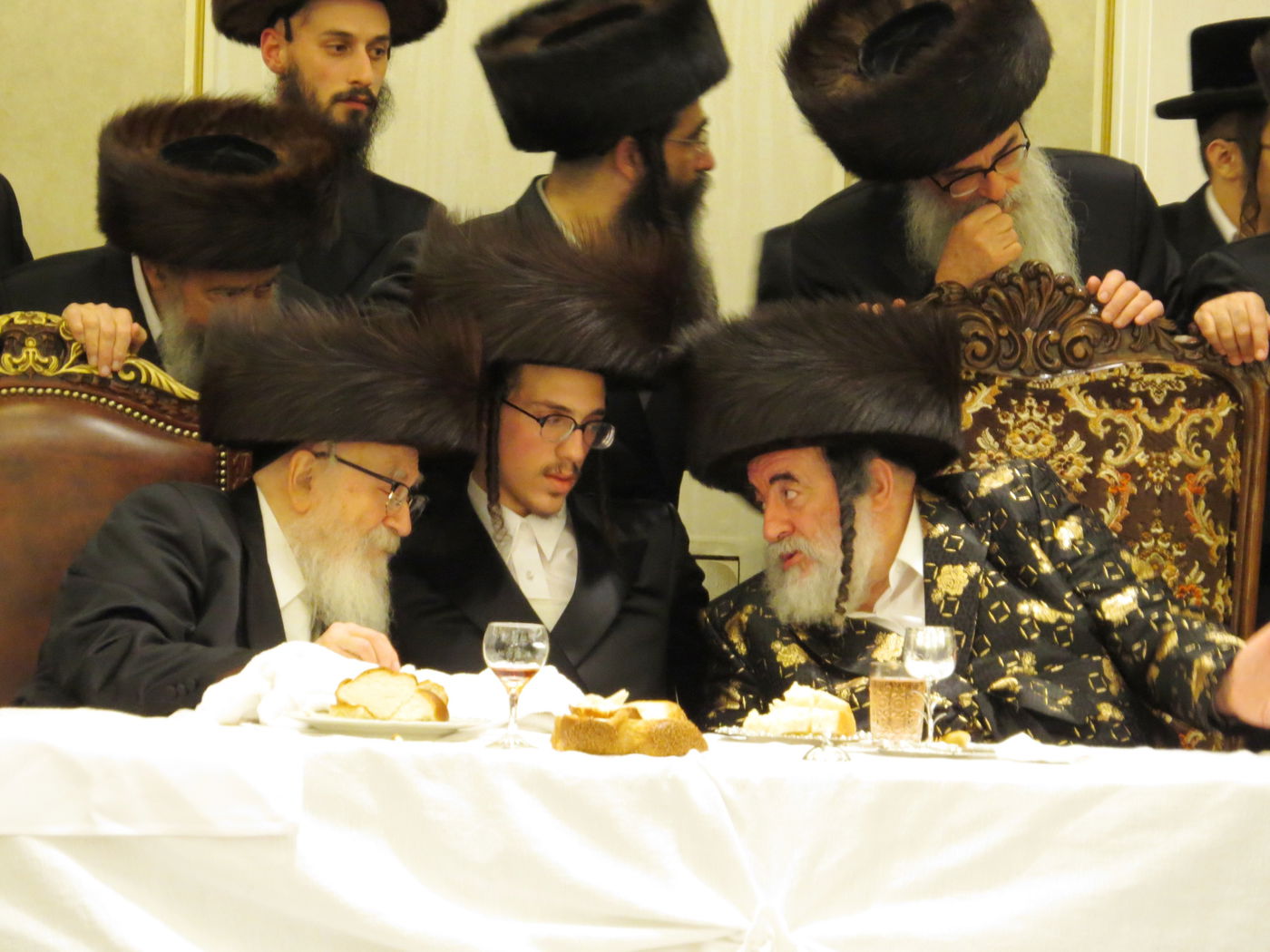 שבע ברכות לנכדי האדמו"רים מויז'ניץ ומסקווירא • גלריה