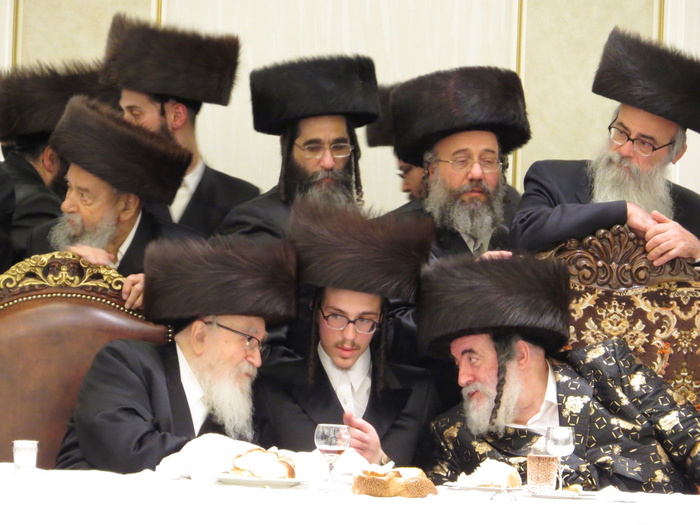 שבע ברכות לנכדי האדמו"רים מויז'ניץ ומסקווירא • גלריה