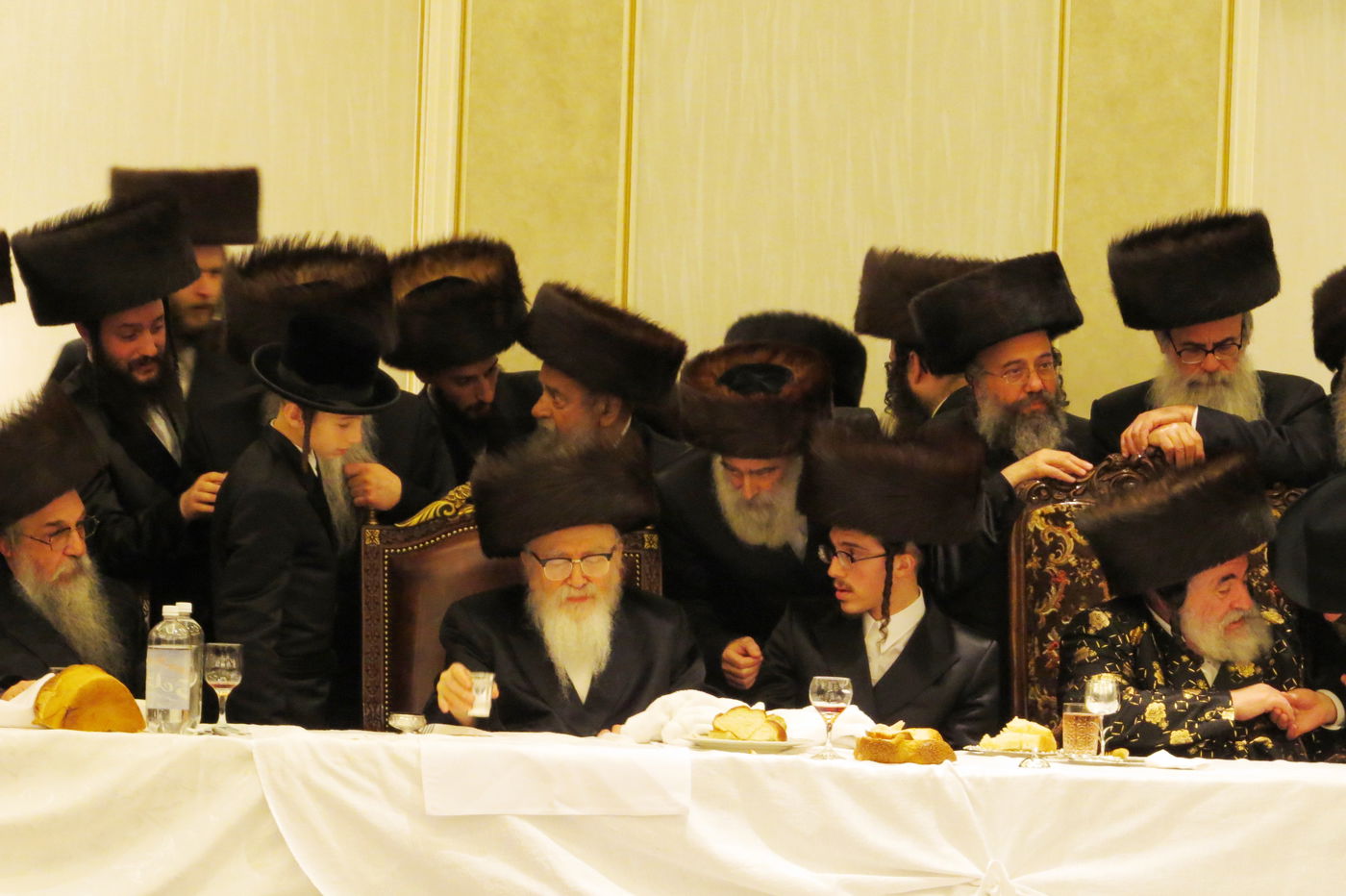 שבע ברכות לנכדי האדמו"רים מויז'ניץ ומסקווירא • גלריה