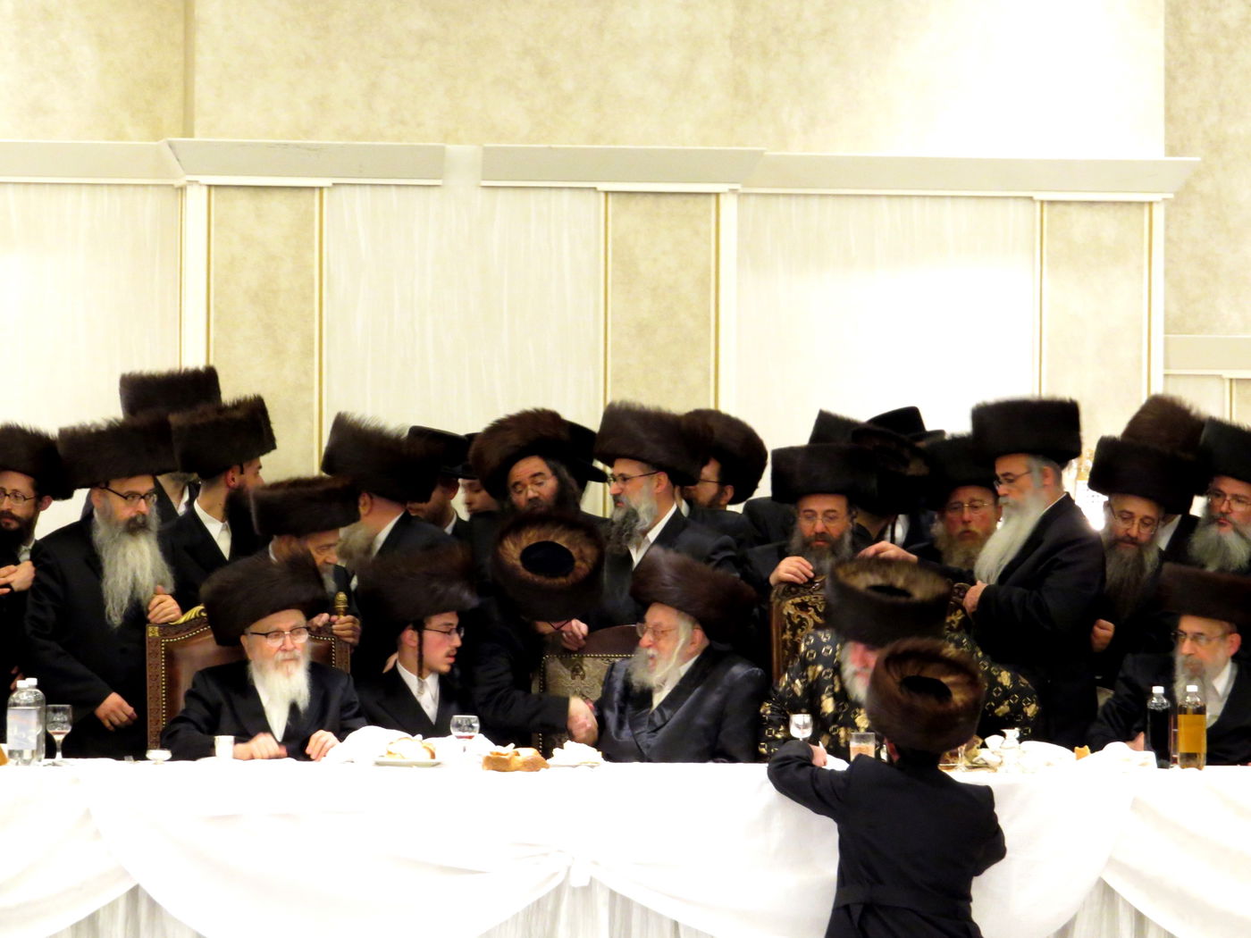 שבע ברכות לנכדי האדמו"רים מויז'ניץ ומסקווירא • גלריה