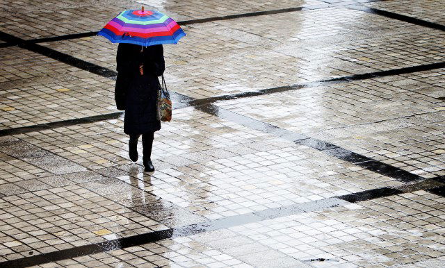 החורף והגשם הגיעו לביקור קצר