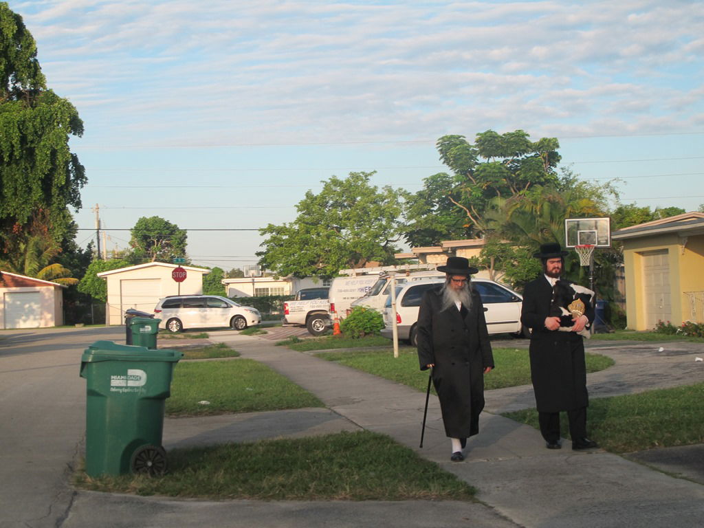 צפו: הרבי מסאטמר נופש ומטייל בפלורידה