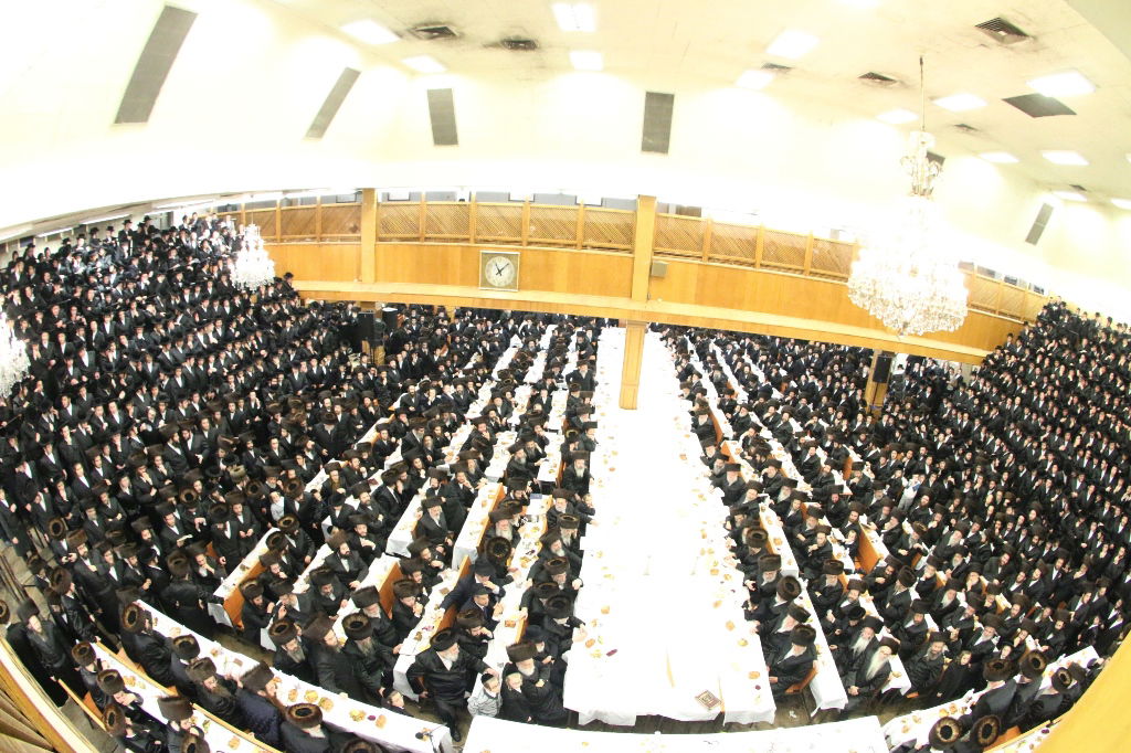 שמחת התנאים לנכד האדמו"ר מהר"י מסאטמר • גלריה