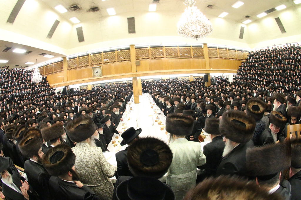 שמחת התנאים לנכד האדמו"ר מהר"י מסאטמר • גלריה