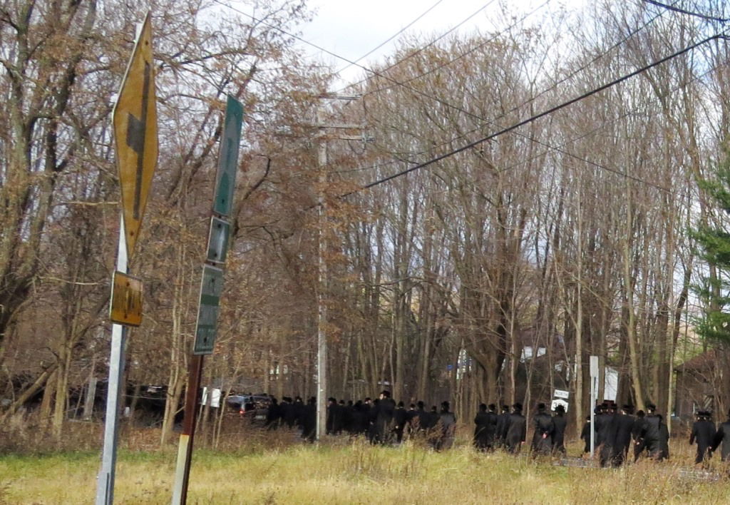 תיעוד דומע: הלווית נינת האדמו"ר מויז'ניץ מונסי