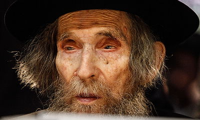 "ההפגנות יגבירו את פחד החילונים". מרן הגראי"ל שטיינמן