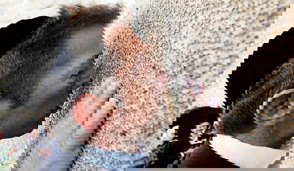 דיווח: האוליגרך היהודי ארקדי גאידמק נעצר בשווייץ