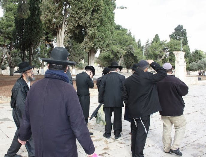 למרות האיסור: גוברת תופעת חרדים העולים להר הבית