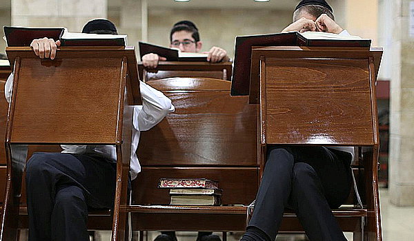 ככה נראים עמלים