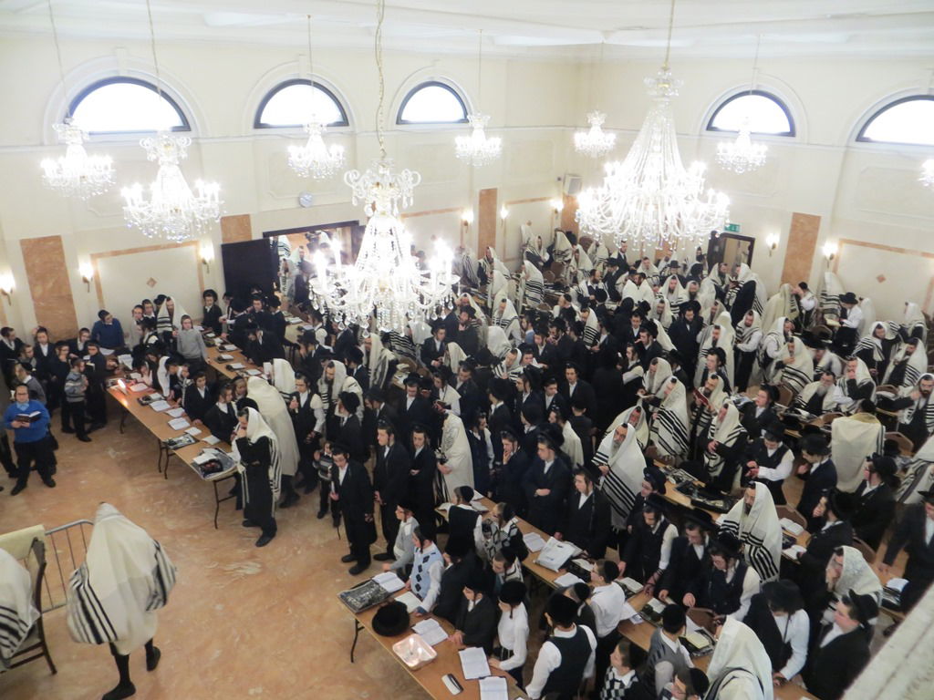 האדמו"ר מויז'ניץ בלונדון • גלריה