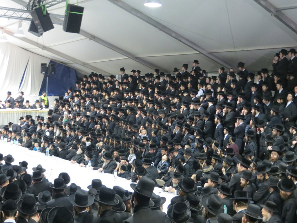 האדמו"ר מויז'ניץ בלונדון • גלריה