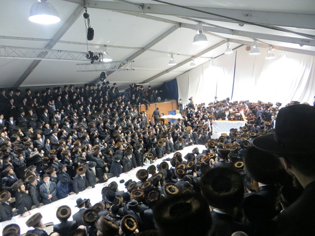 האדמו"ר מויז'ניץ בלונדון • גלריה