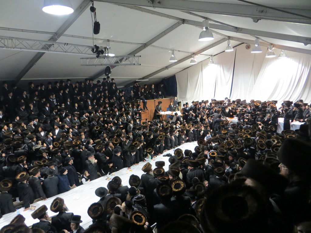 האדמו"ר מויז'ניץ בלונדון • גלריה