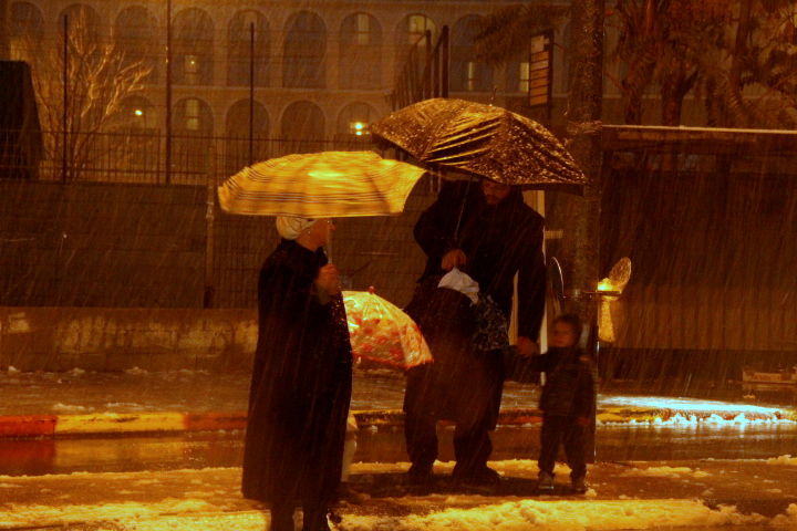 צפו בוידאו ותמונות: הבירה נצבעת בלבן בוהק