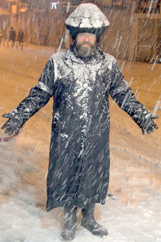 שלג כבד בבירה: הכניסות והיציאות מהעיר - חסומות