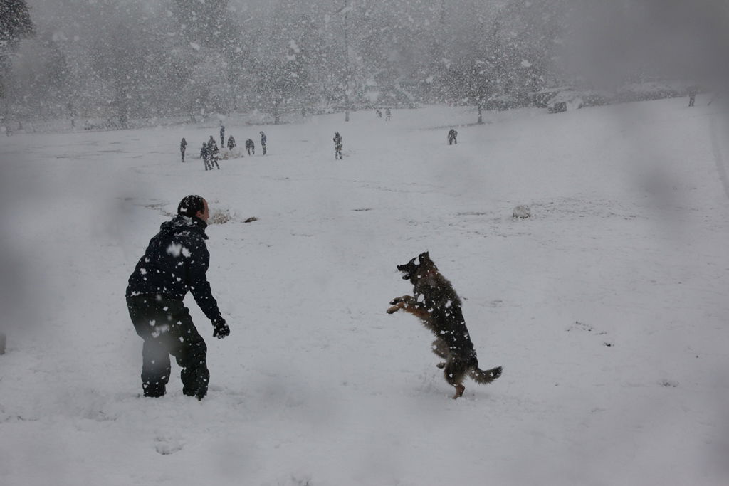 שלג בבירה: כביש 1 נסגר לתנועה, מחר אין לימודים