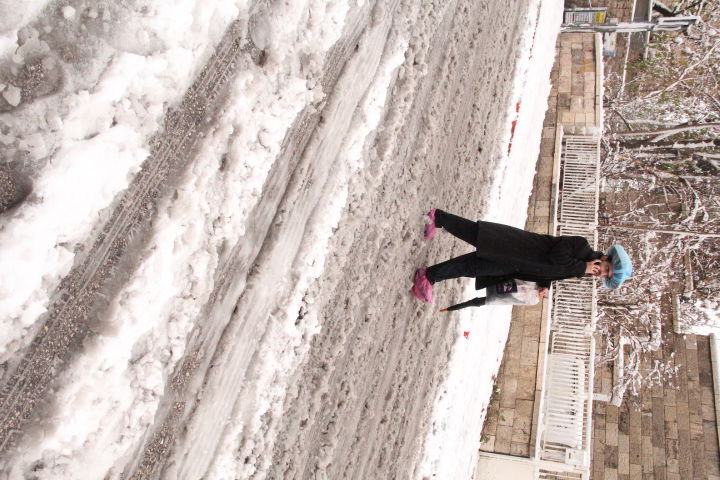 ירושלים כוסתה ב-10 ס"מ שלג, הכניסות לעיר נפתחו