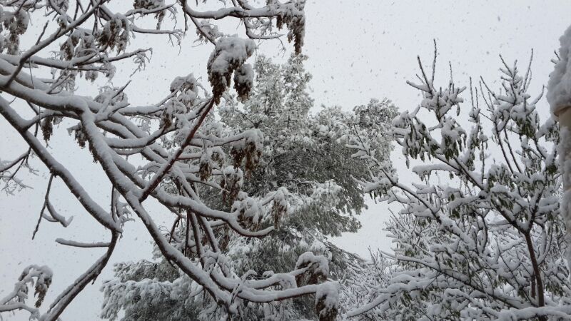 ירושלים כוסתה ב-10 ס"מ שלג, הכניסות לעיר נפתחו