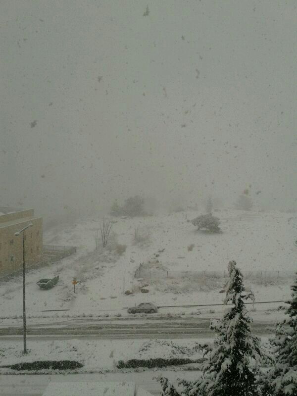 ירושלים כוסתה ב-10 ס"מ שלג, הכניסות לעיר נפתחו