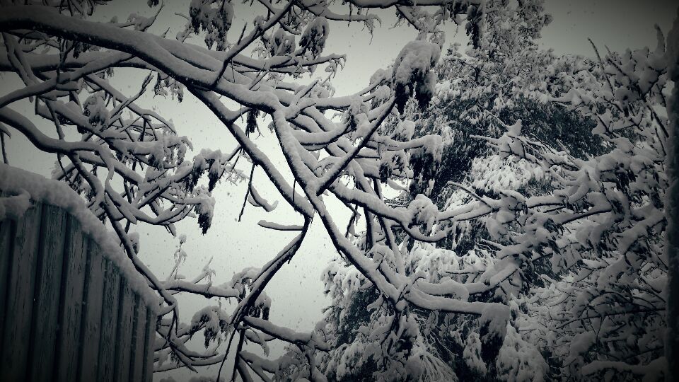 ירושלים כוסתה ב-10 ס"מ שלג, הכניסות לעיר נפתחו