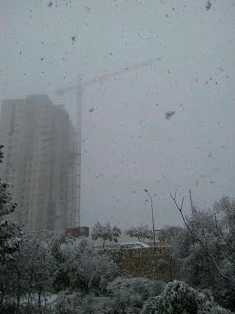 השלג שלכם • התמונות של גולשי "כיכר השבת"