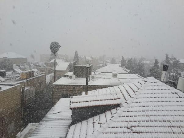 השלג שלכם • התמונות של גולשי "כיכר השבת"