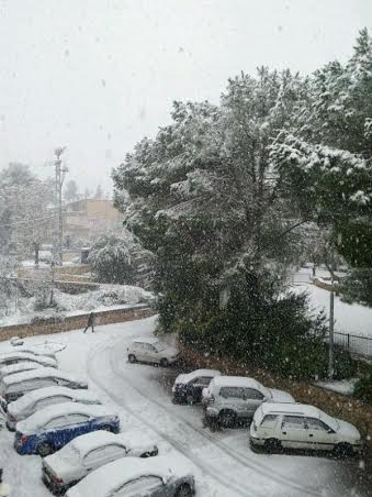 השלג שלכם • התמונות של גולשי "כיכר השבת"