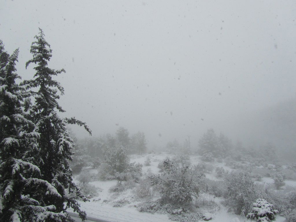 השלג שלכם • התמונות של גולשי "כיכר השבת"