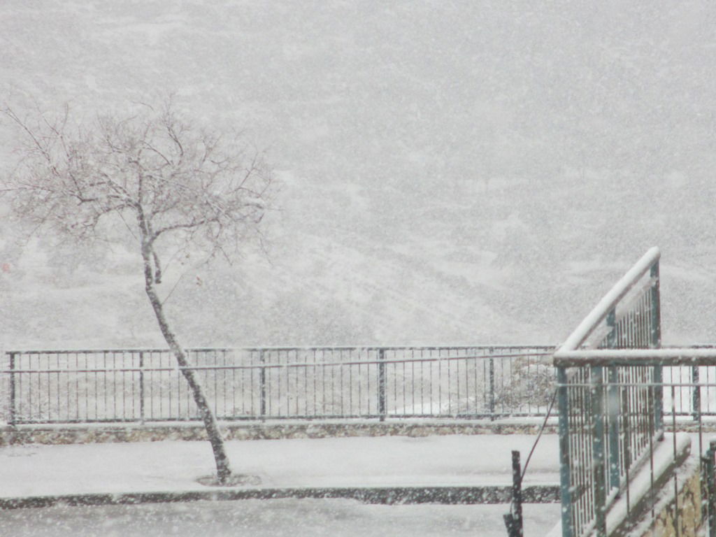 השלג בביתר.