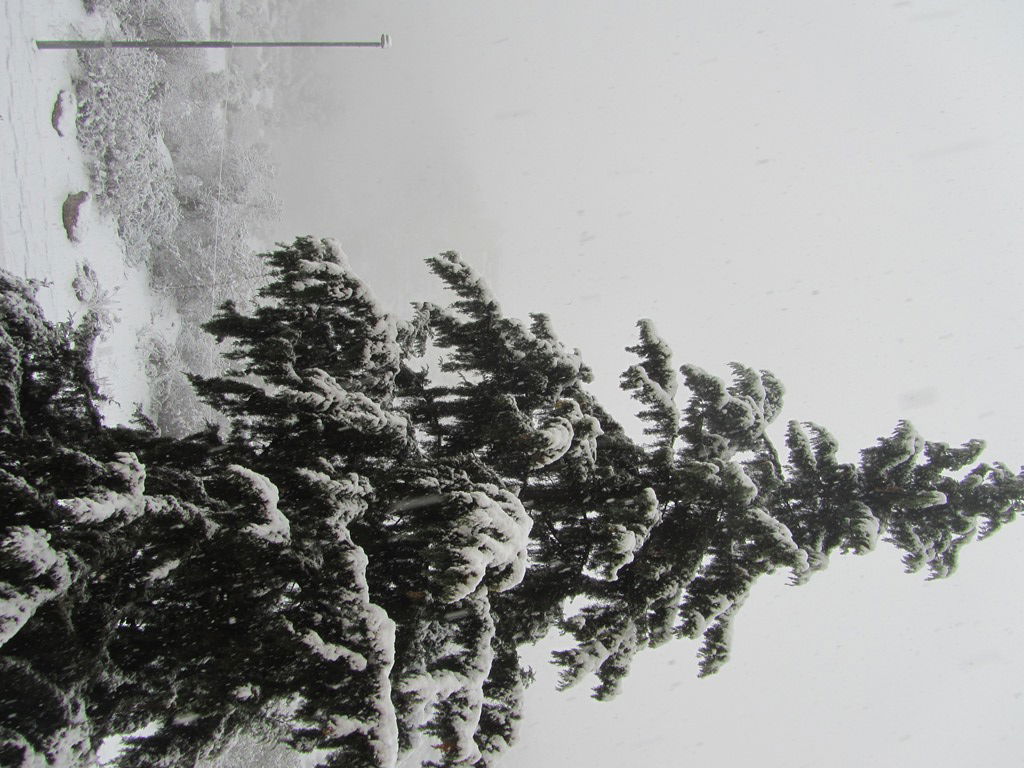 השלג שלכם • התמונות של גולשי "כיכר השבת"