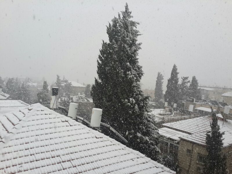 השלג שלכם • התמונות של גולשי "כיכר השבת"