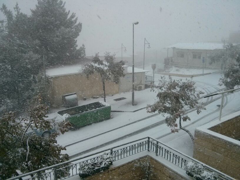 השלג שלכם • התמונות של גולשי "כיכר השבת"