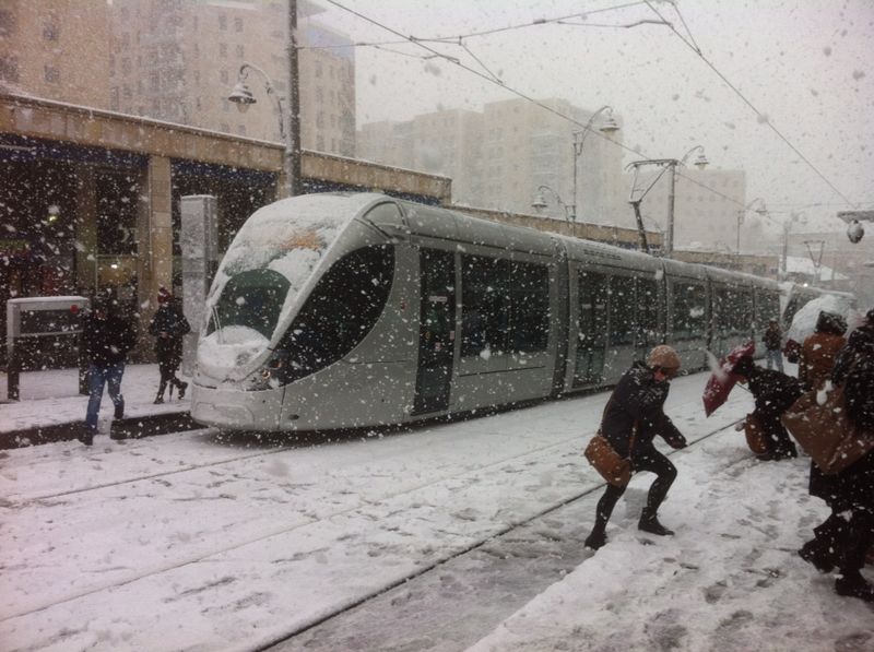 השלג שלכם • התמונות של גולשי "כיכר השבת"