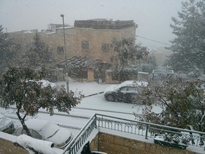 השלג שלכם • התמונות של גולשי "כיכר השבת"