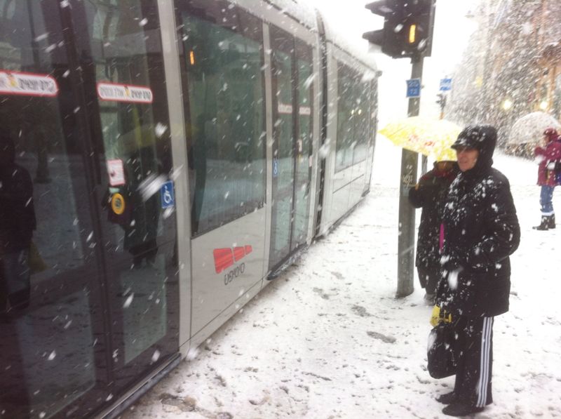 השלג שלכם • התמונות של גולשי "כיכר השבת"