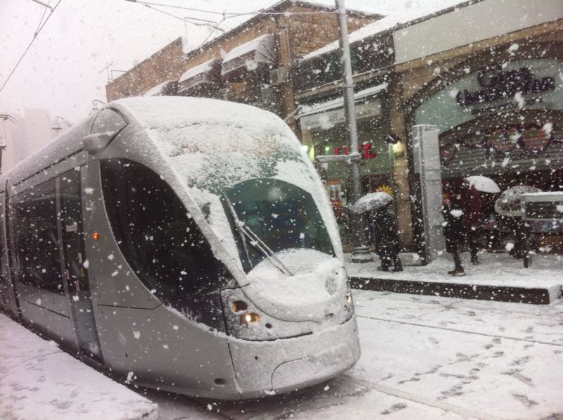 השלג שלכם • התמונות של גולשי "כיכר השבת"