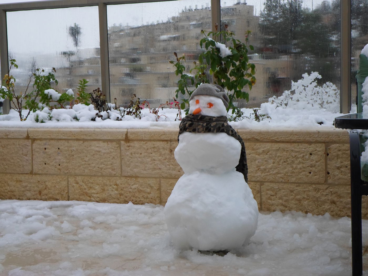 השלג שלכם • התמונות של גולשי "כיכר השבת"