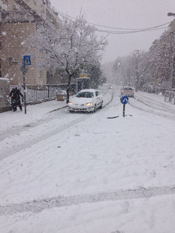 השלג שלכם • התמונות של גולשי "כיכר השבת"